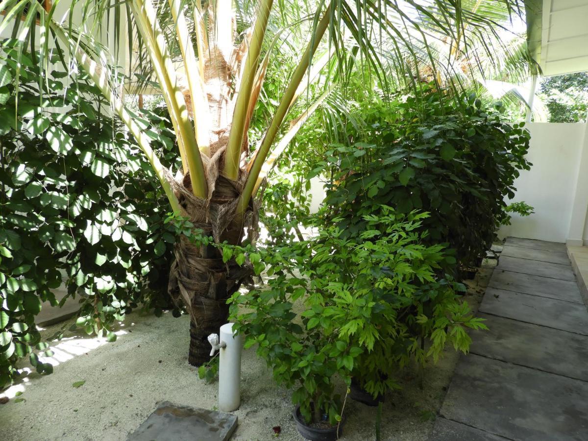 Karaa Village Thoddoo Exteriér fotografie
